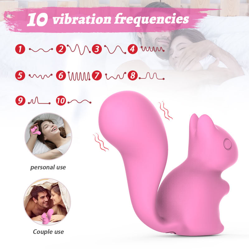 Close up of the 10 vibration frequency chart and the squirrel vibrator showing the power button on the belly. 