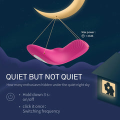 Rechargeable Vibrating Panty With Remote Control  Fizzglow