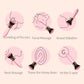 Multi-zone body exploration guide for Fizzglow Caress G-Spot Vibrator covering neck, breast, clitoral, and G-spot stimulation