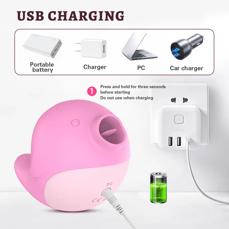 USB magnetic DC charging setup for the Fizzglow Chirp Clitoral Vibrator compatible with power banks, wall chargers, and laptops