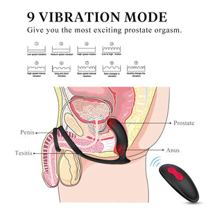 Anatomical diagram of Fizzglow Crest prostate anal vibrator showing 9 vibration modes and P-spot stimulation.