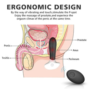 Ergonomic design diagram showing Fizzglow Vortex stimulating male P-spot and perineum